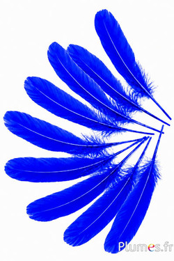 Oca - 15-21 cm - blu